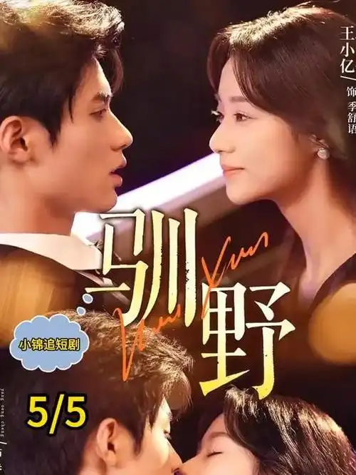 第七个证人 悬疑推理剧全集
